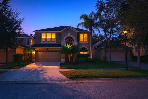 Photo of 20213 Still Wind Drive, Tampa, FL 33647 (MLS # V4944633)