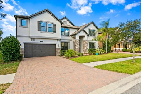 19433 WHISPERING BROOK DRIVE TAMPA FL 33647