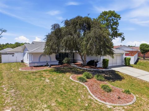 2239 ARMADILLO AVENUE SPRING HILL FL 34609