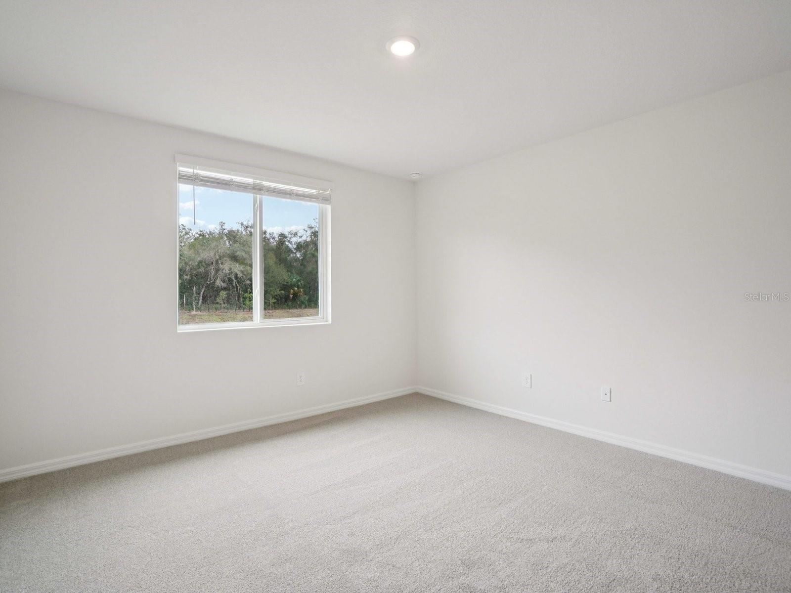 SALT MEADOWS - Residential