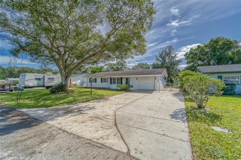 A home in ZEPHYRHILLS