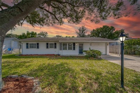 A home in ZEPHYRHILLS