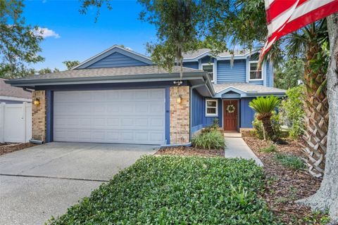 5032 CYPRESS TRACE DRIVE TAMPA FL 33624