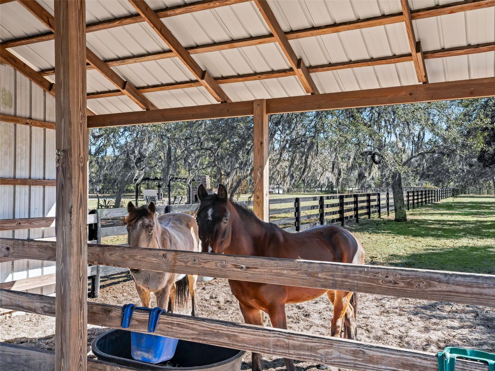 LEVY ADD - Residential