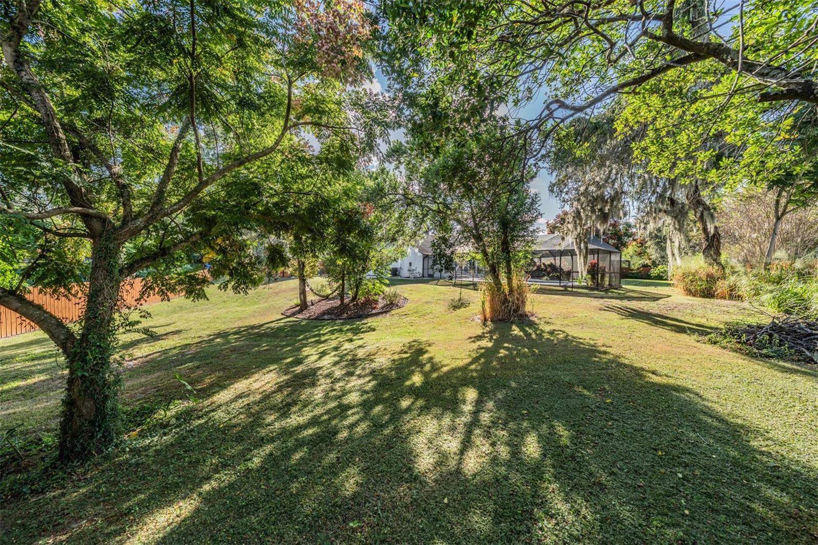 OAKWOOD RAVINE - Residential