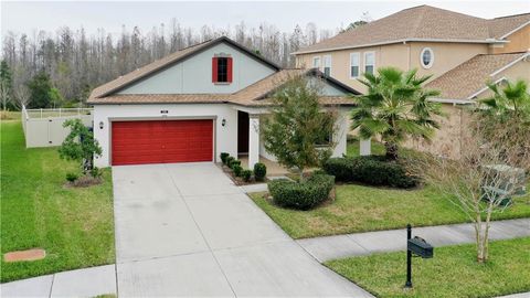 A home in LAND O LAKES