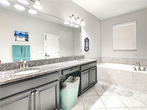A home in LAND O LAKES