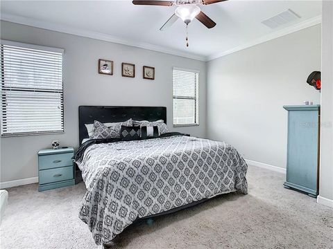 A home in LAND O LAKES