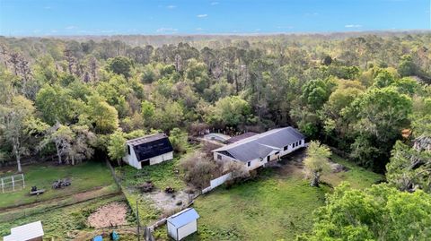 11033 SHERROUSE ROAD LAKELAND FL 33810