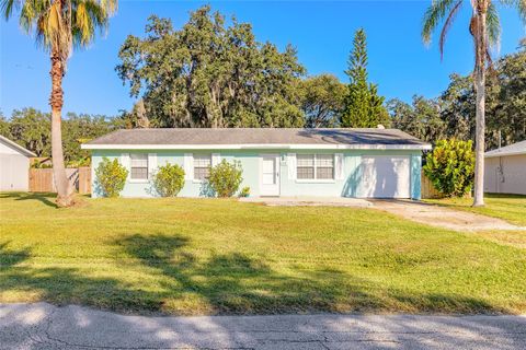 1719 UMBRELLA TREE DRIVE EDGEWATER FL 32132