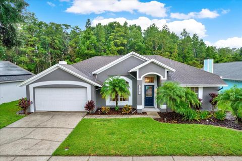 Photo of 10142 Arrow Creek Road, New Port Richey, FL 34655 (MLS # TB8421787)