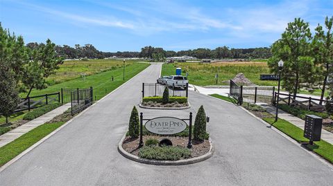 14264 PINE STRAW COURT DOVER FL 33527