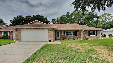 A home in DAYTONA BEACH