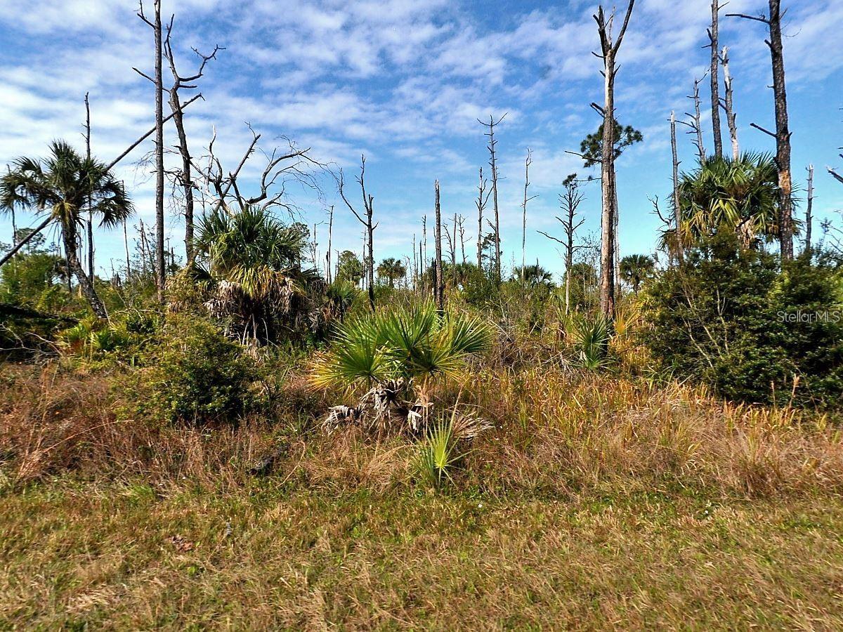 Beautiful lot in North Port. North Port is an area that has seen major growth in the past few years and is convenient for those looking to commute to Sarasota or Fort Myers. The City of North Port offers so many community highlights including a new Water Park, Atlanta Braves Spring Training Stadium, shopping, dining, plenty of public parks, and less than a 30 minute drive to pristine Gulf Coast Beaches! Don't miss this one; Drive by and make your offer today!