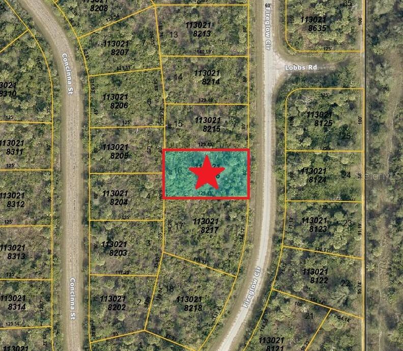 PORT CHARLOTTE SUB 46 - Land