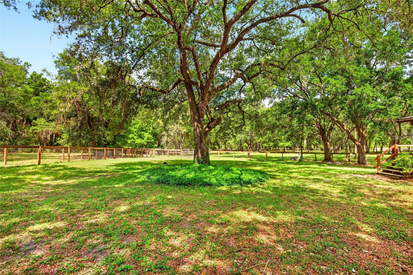 FOX GROVE FARMS - Residential