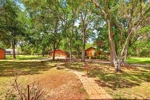 Tiny photo for 11630 SE 78th Street, Morriston, FL 32668 (MLS # O6409029)