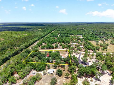 Tiny photo for 11630 SE 78th Street, Morriston, FL 32668 (MLS # O6409029)