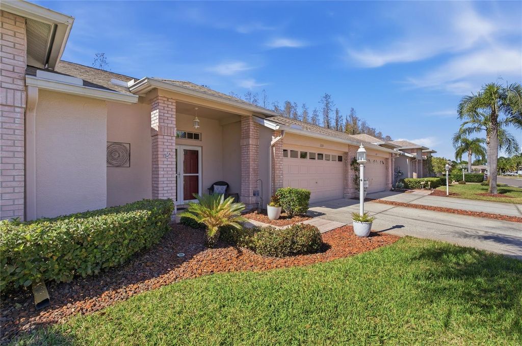 Photo of 1133 Sweet Jasmine Drive, Trinity, FL 34655 (MLS # W7882749)