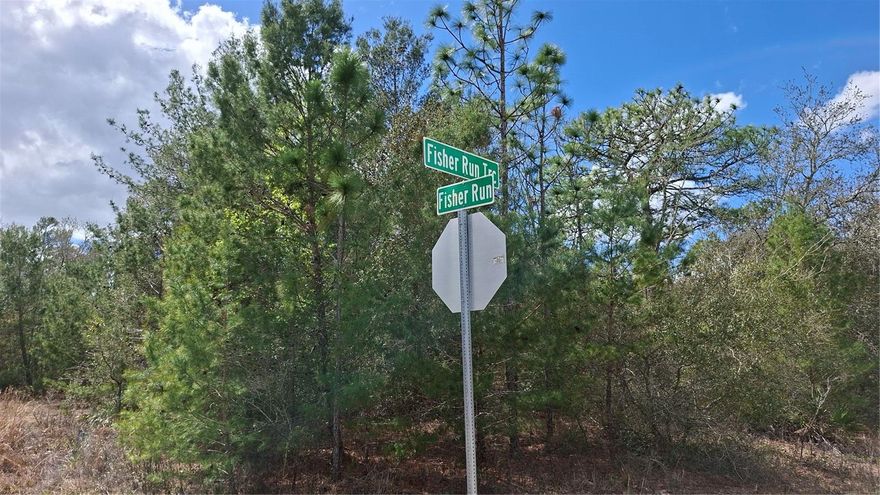 This whole area is one of Florida's hot spots for growth. Nestled  in the middle, this prime Lot in Silver Springs Shores is on  over 1/4 of an acre. There is frontage on 2 paved Streets Plus it's nicely wooded, more open towards the middle. Either building your dream home, or investing for the future, Take a look at this beauty!