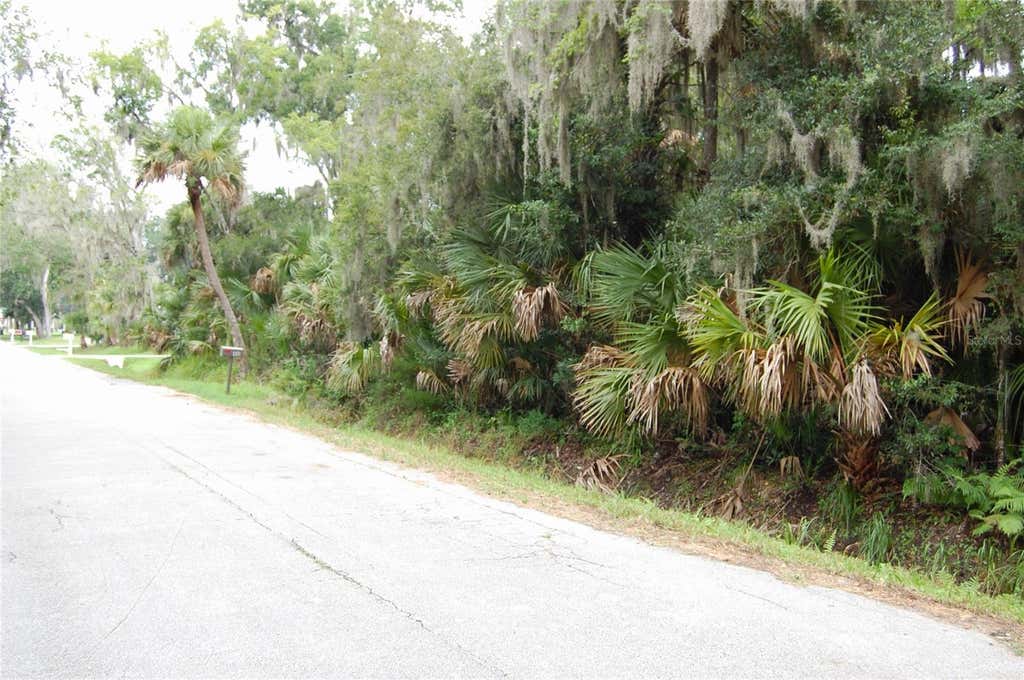 Photo of Palm Drive, New Smyrna Beach, FL 32168 (MLS # NS1088850)