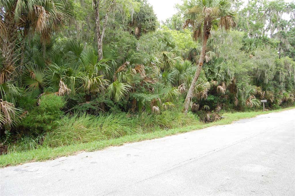 Photo of Palm Drive, New Smyrna Beach, FL 32168 (MLS # NS1088850)