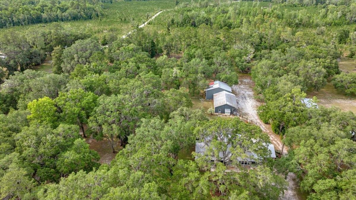 HAMIC ESTATES - Residential