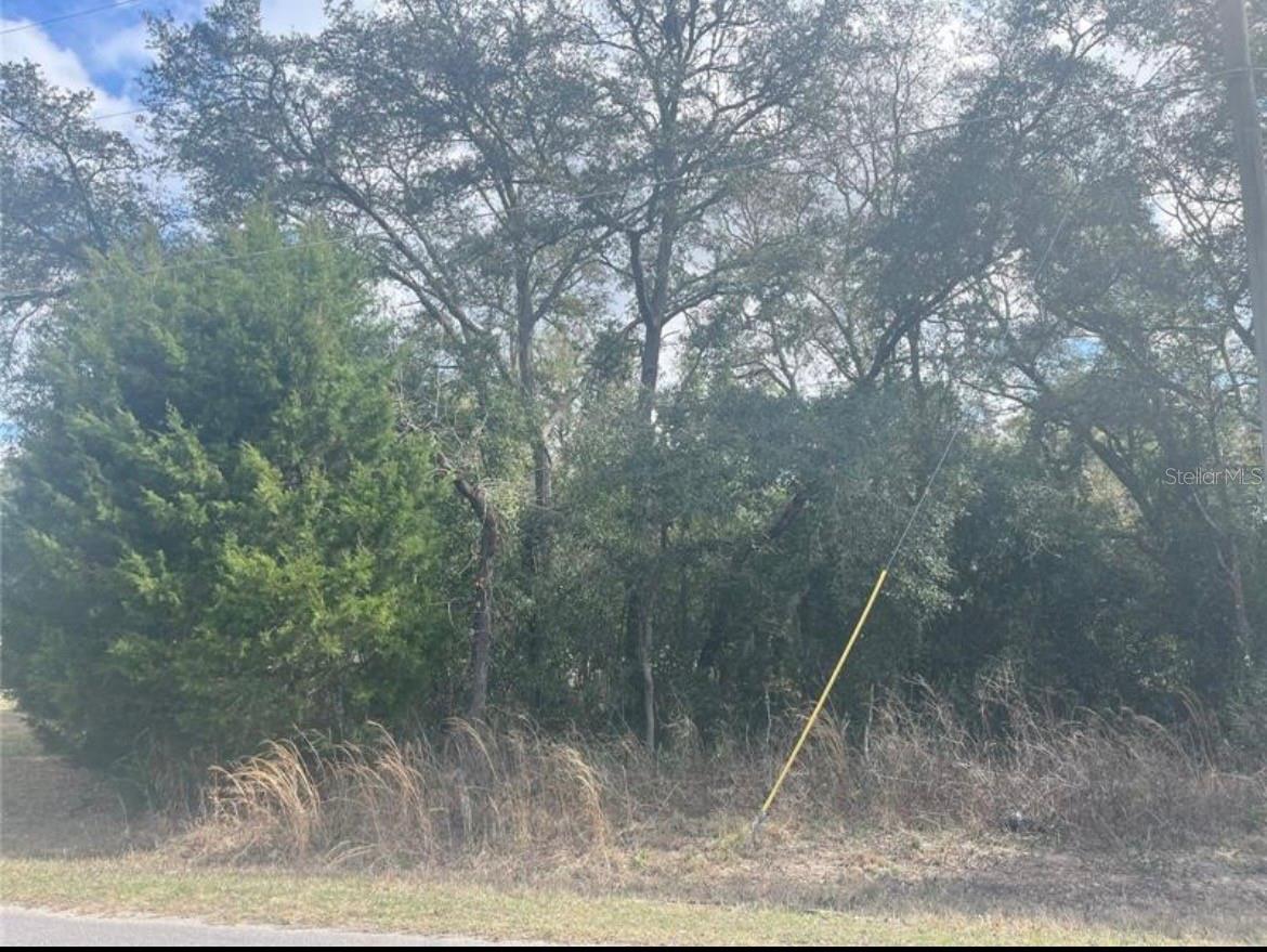 SMITH LAKE ESTATE - Land