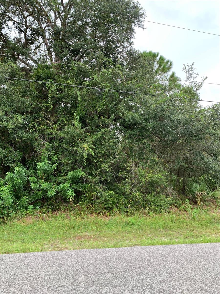 PORT CHARLOTTE SEC 024 - Land