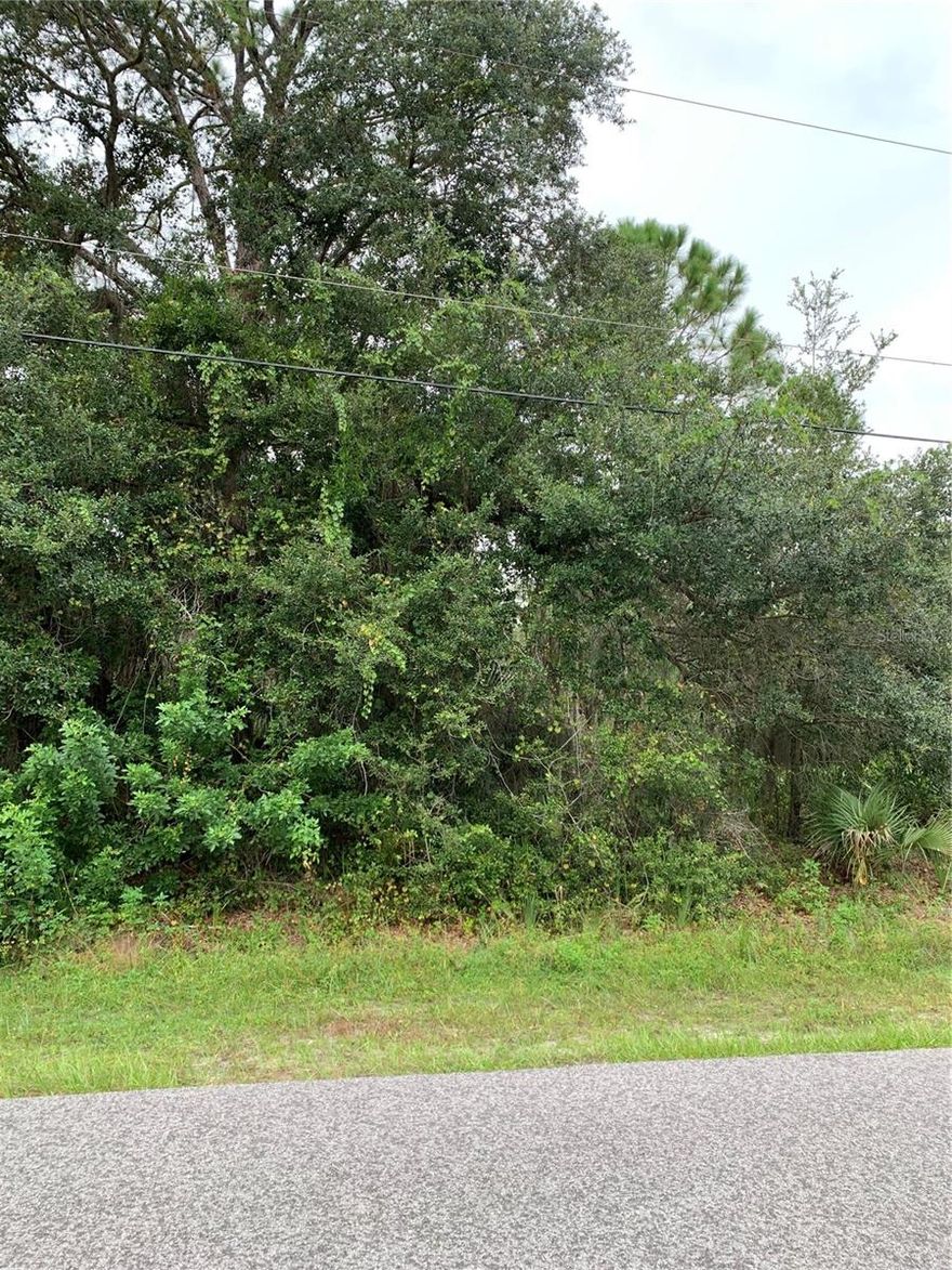 Build your dream home on the quiet BERTHOUD Street double lot 285 and 293, 0.49 ACRES. this residential lot is high and dry not in an high risk flood zone only 15 minutes to interstate I-75 with very quick and easy access to the growing North Port area convenient shopping restaurant fishing golfing and beaches and the SUNSEEKER RESORT and downtown PUNTA GORDA, build your dream home in this lot with plenty of room for a mother-in-law suite or a large RV