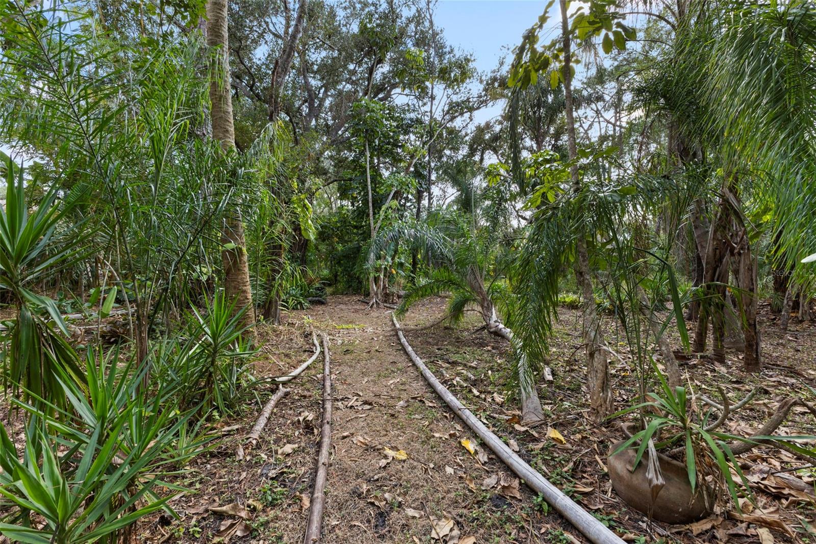 PINE VALLEY RANCHES - Residential