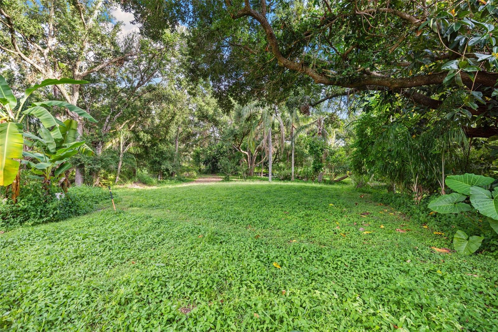 PINE VALLEY RANCHES - Residential