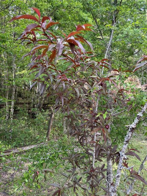 listing image 54