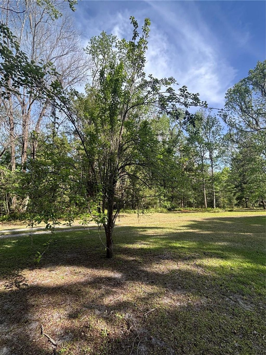 listing image 48