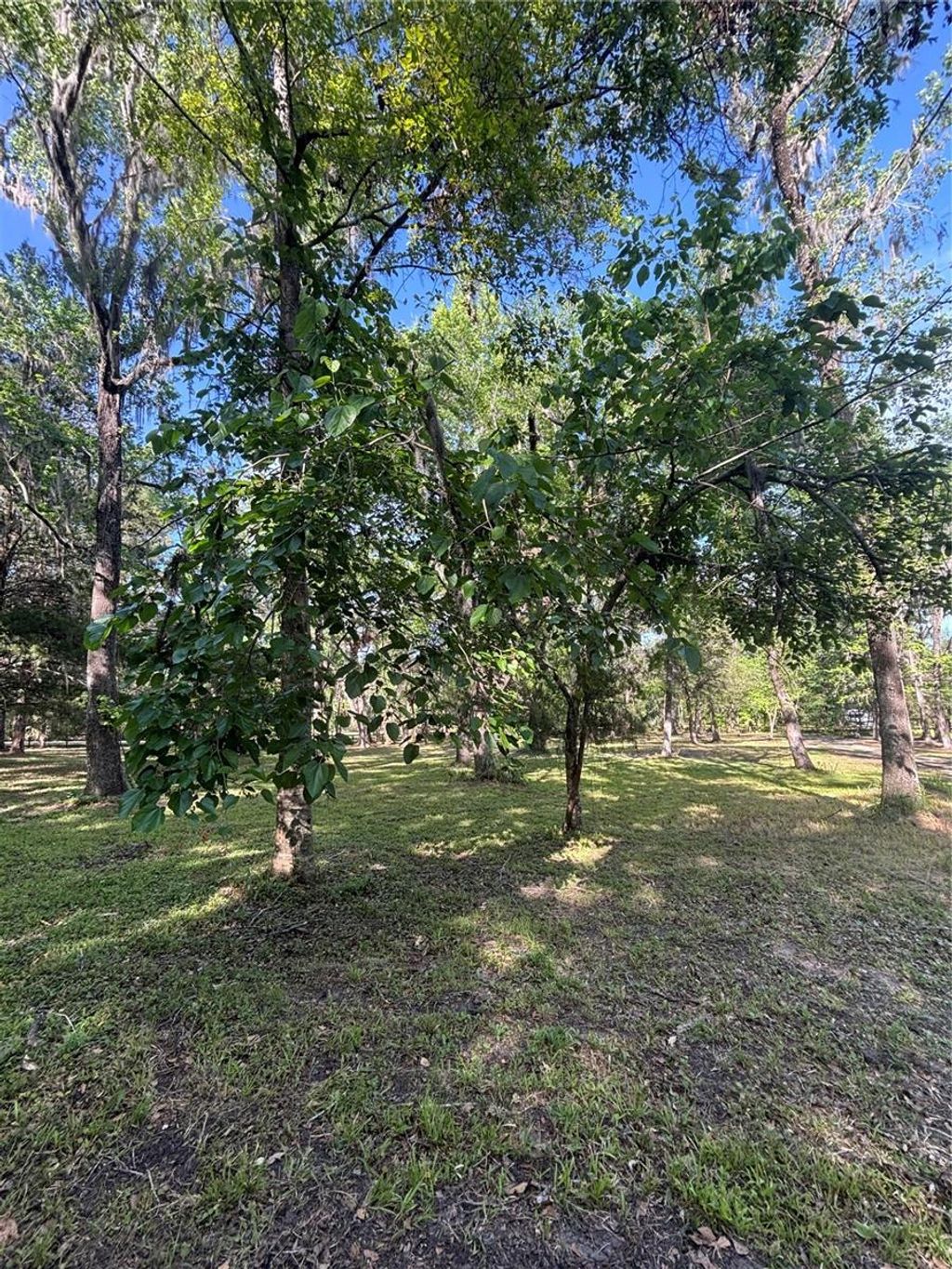 listing image 53