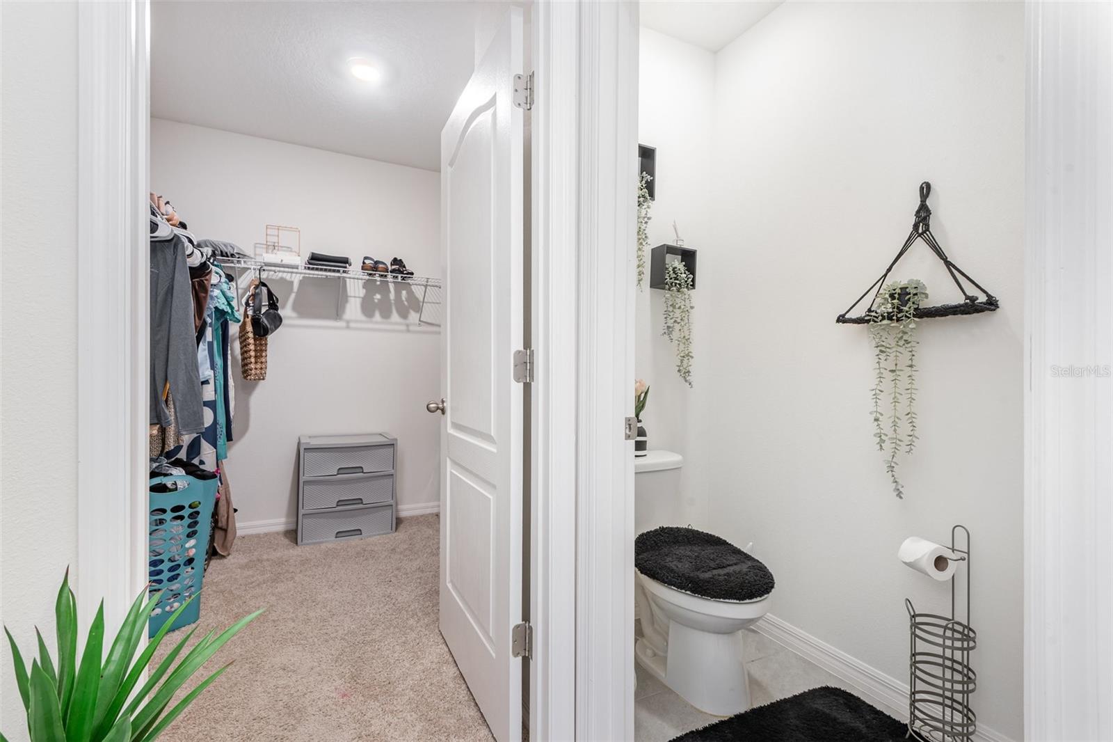 COURTLAND PARK PH 1 - Residential