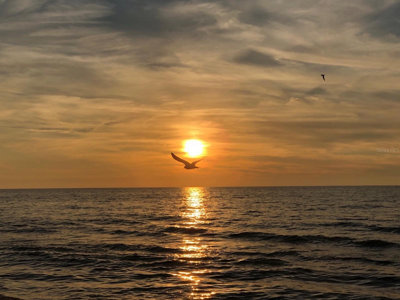 HARBOUR CLUB CONDO 2 - Residential