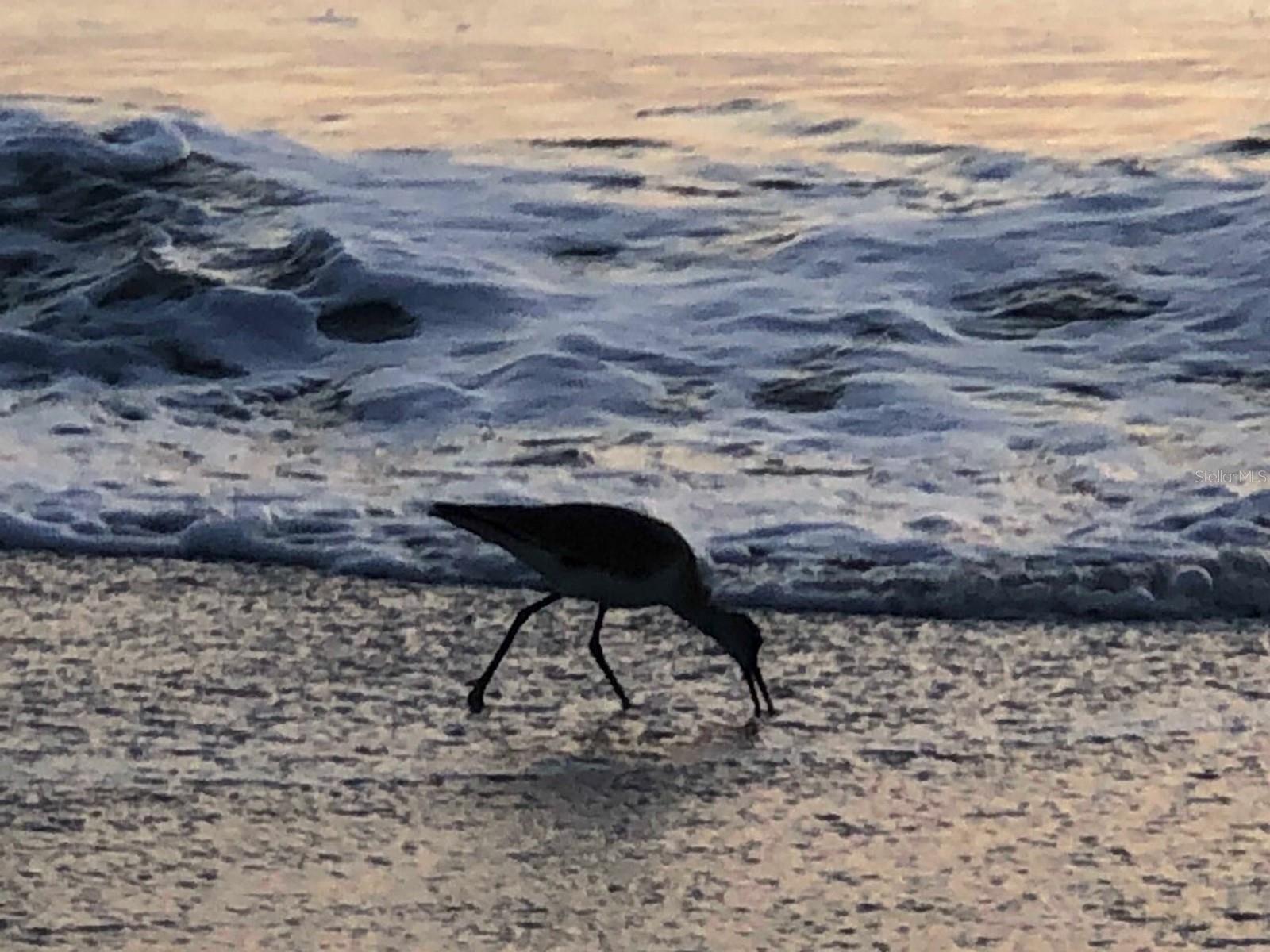 HARBOUR CLUB CONDO 2 - Residential