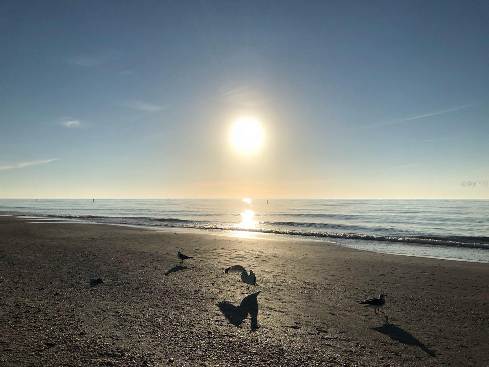 HARBOUR CLUB CONDO 2 - Residential