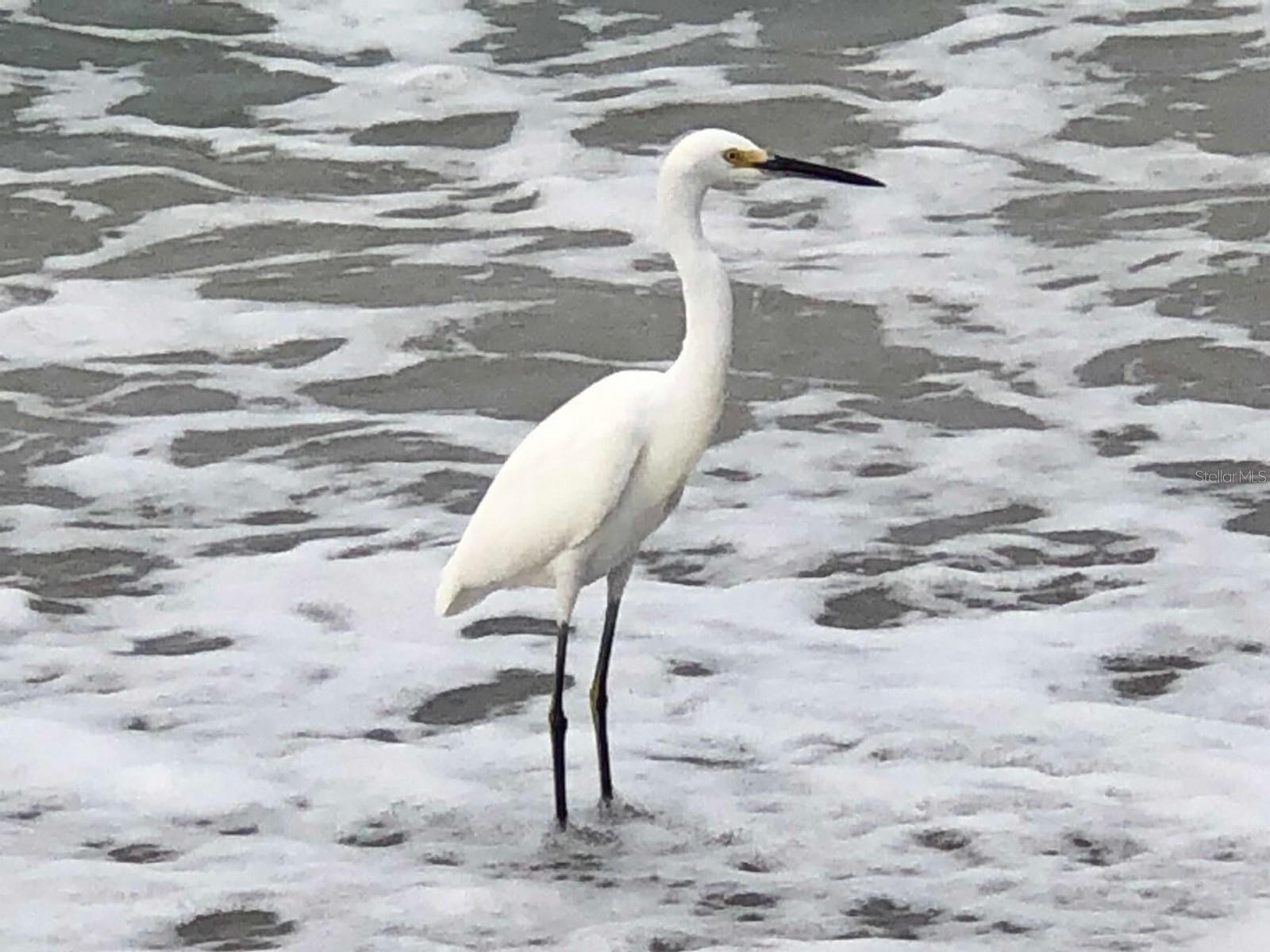 HARBOUR CLUB CONDO 2 - Residential