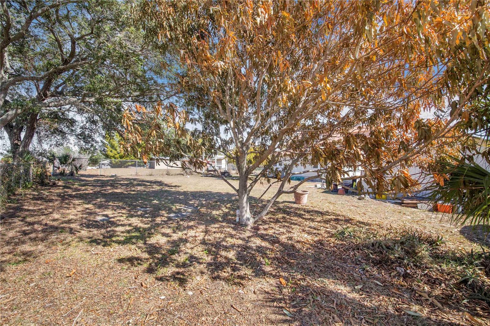 HAINES CITY - Residential