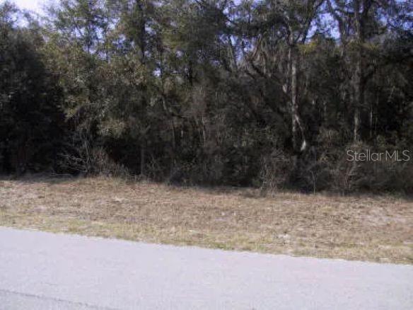 Beautiful Commercial property, just waiting for your development, seller states previously been approved for 4 buildings, each with several units, Buyers please verify info with the city of Chiefland.
The property is currently zoned mixed use, making the land open to so many possibilities. The property faces south on a busy road just off of US 19 with 425 road footage. paved roads, great location, City water electric and garbage. Blocks to the downtown area. embraced the future of your business and secure your place in a prime location. Here's your opportunity act fast.