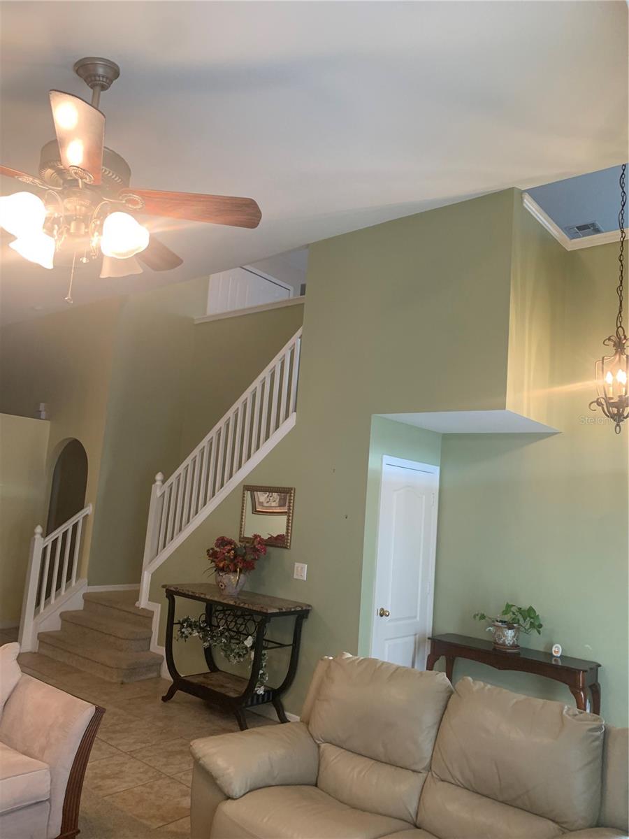 CELERY KEY - Residential