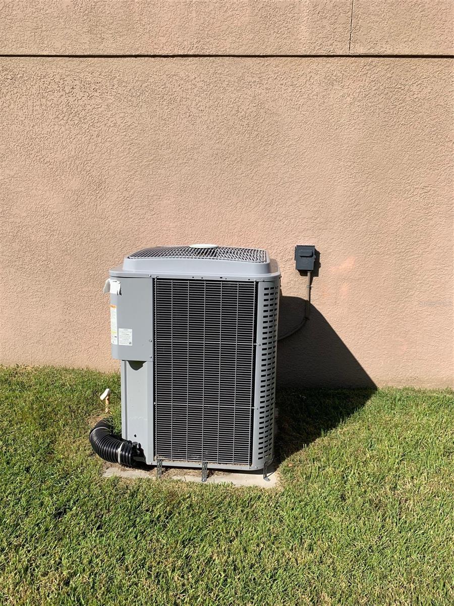 CELERY KEY - Residential