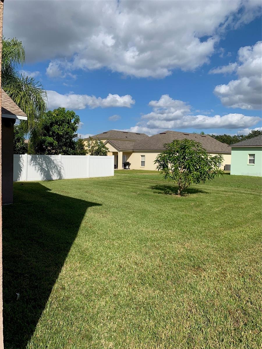 CELERY KEY - Residential