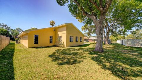 A home in PALM COAST