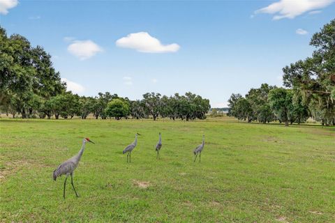 Tiny photo for 8810 County Road 561, Clermont, FL 34711 (MLS # G5103575)