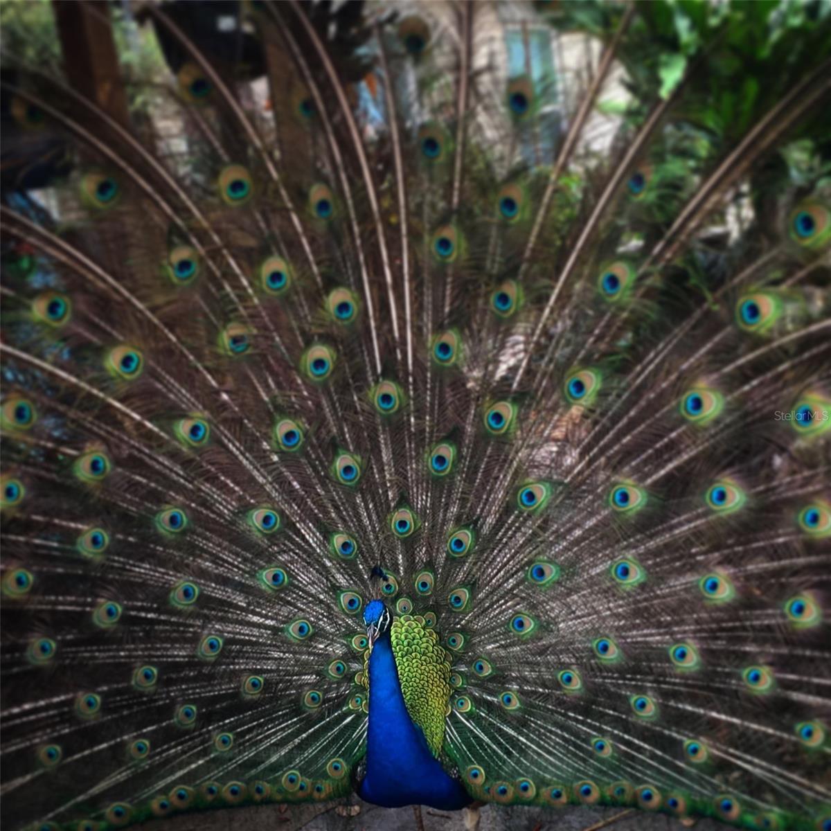 BANNON FISH CAMP - Residential