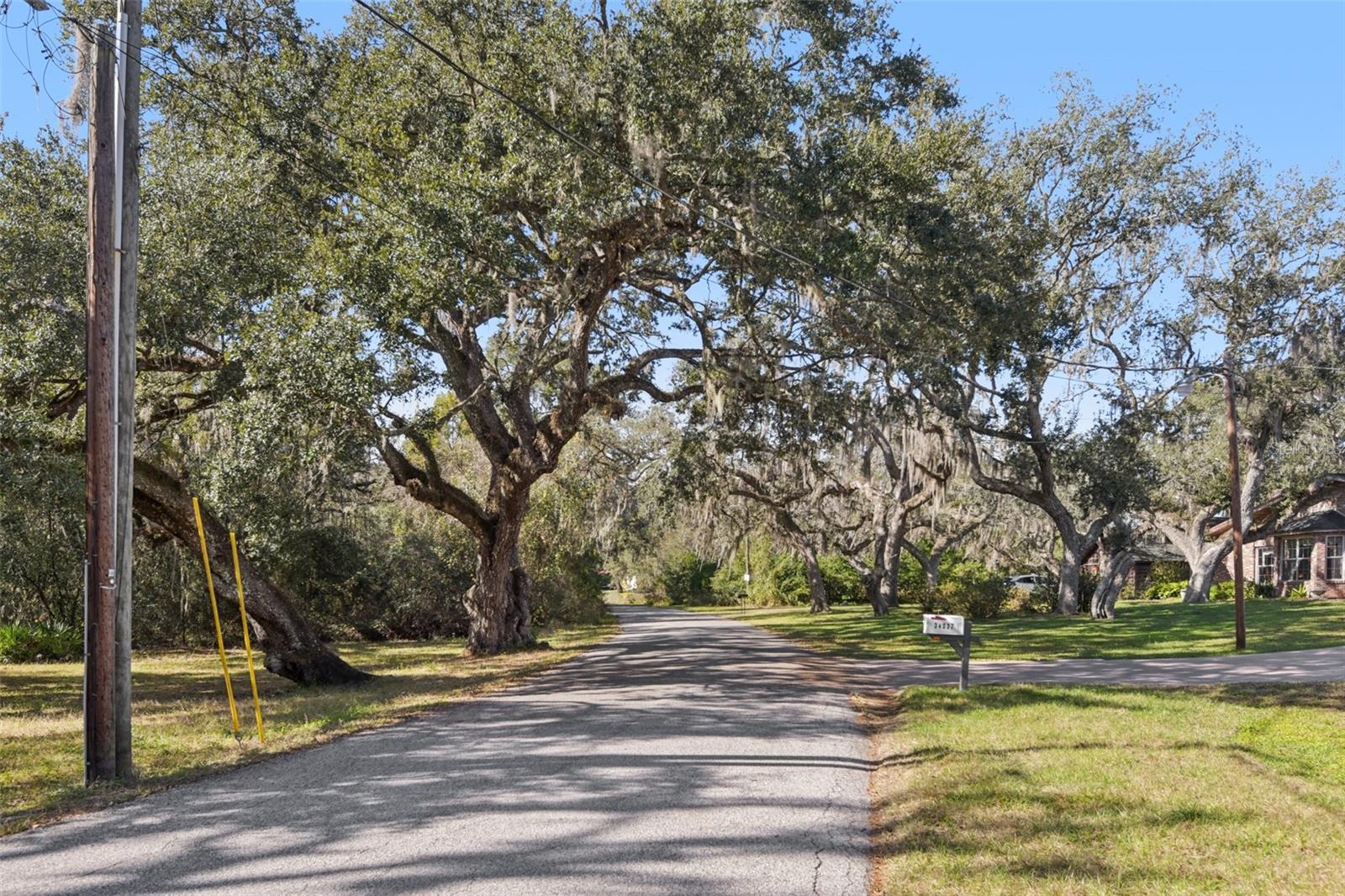 RIDGE MANOR FARMS - Residential