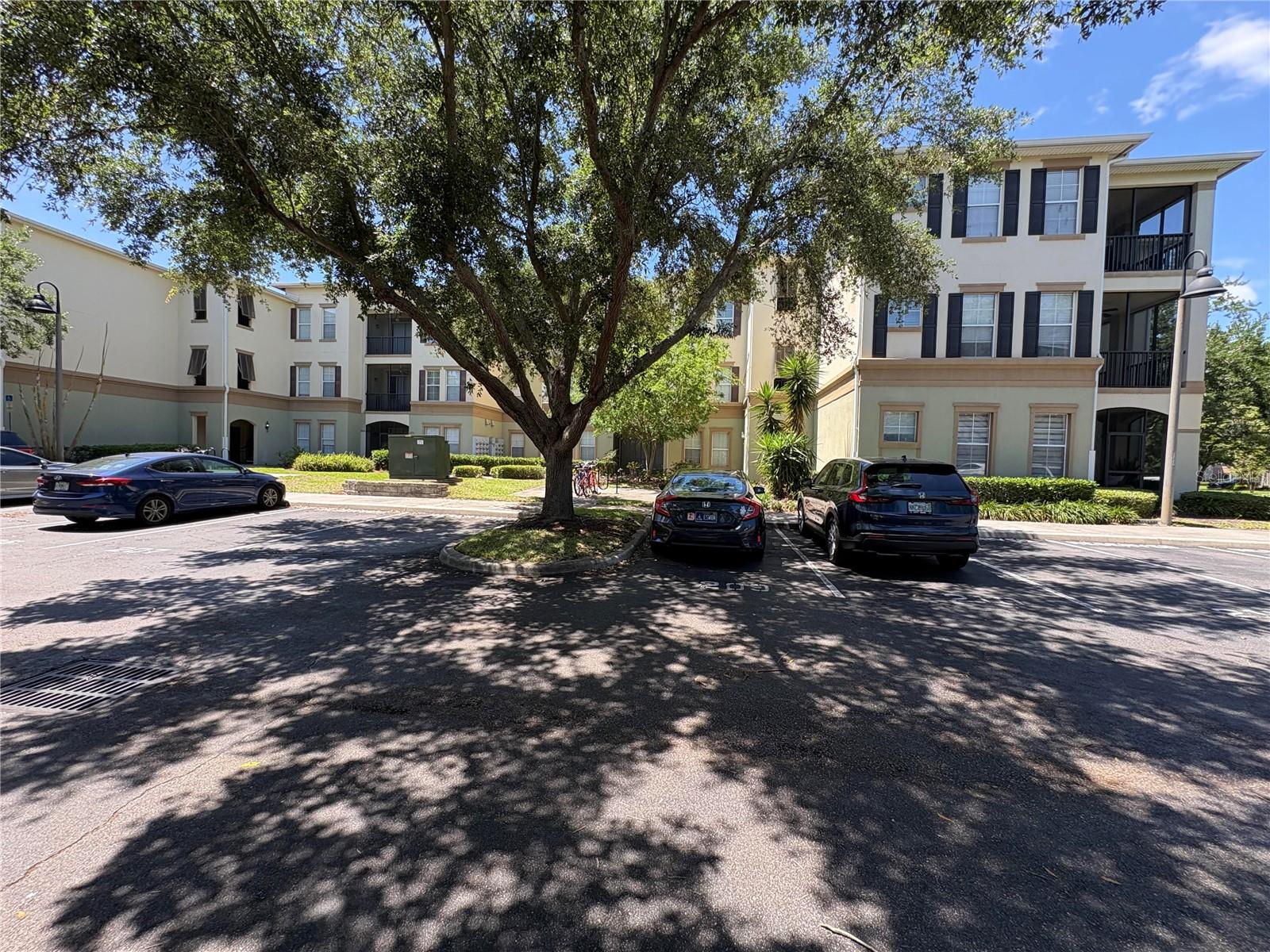 11564 MIZZON DRIVE 110